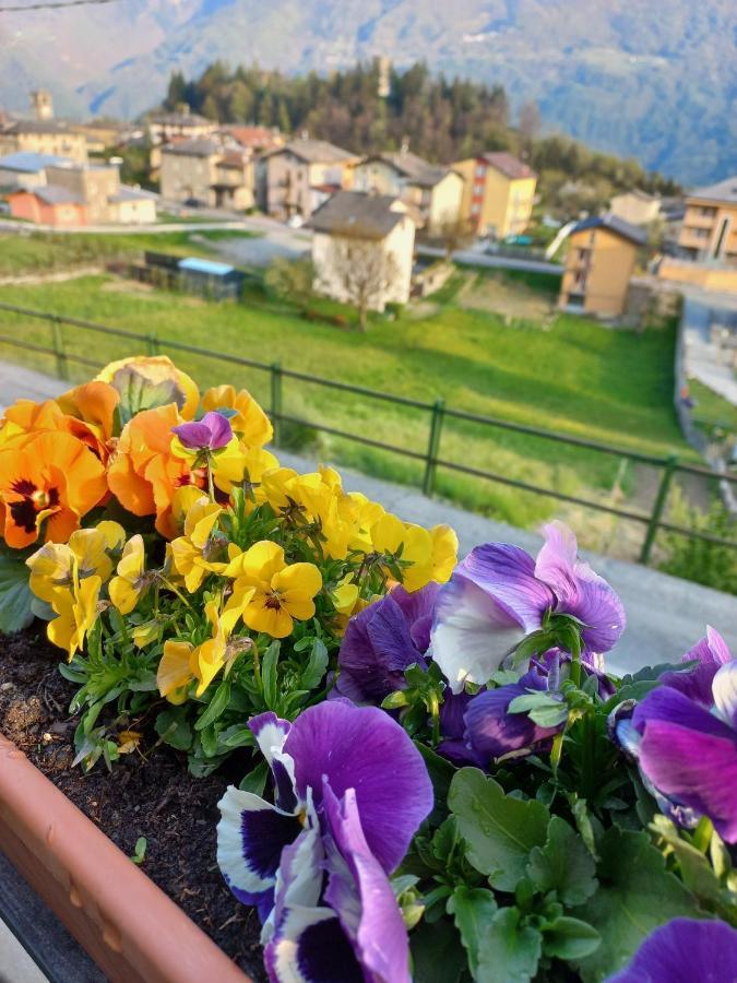 Casa Vacanza Da Ghislin Teglio Eksteriør billede